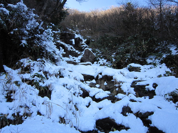 e0232236_14333922.jpg