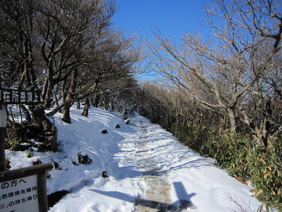 e0232236_14371248.jpg