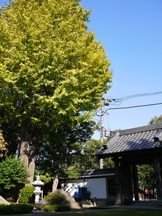 f0232136_945355.jpg