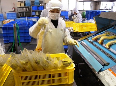 柿の自然な甘みが隠し味~大根の醤油漬け_b0206037_11513.jpg