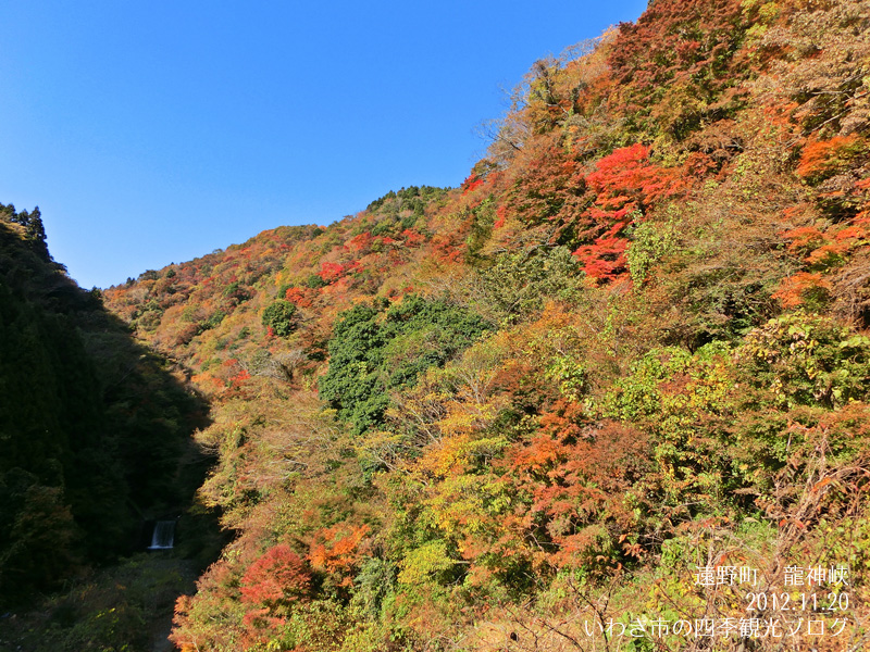 11月20日（火）　龍神峡の紅葉_f0105342_16512383.jpg