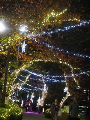 c0110647_2155858.jpg