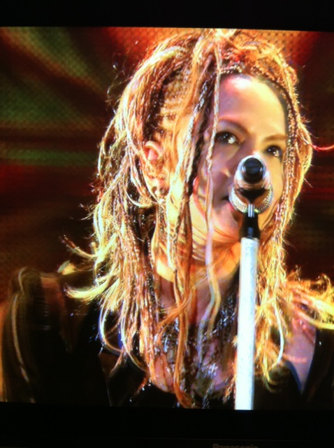 a0288648_21323188.png