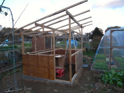 鳥小屋建築中 4_c0063348_22141096.jpg