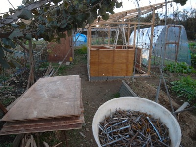鳥小屋建築中 4_c0063348_22141281.jpg