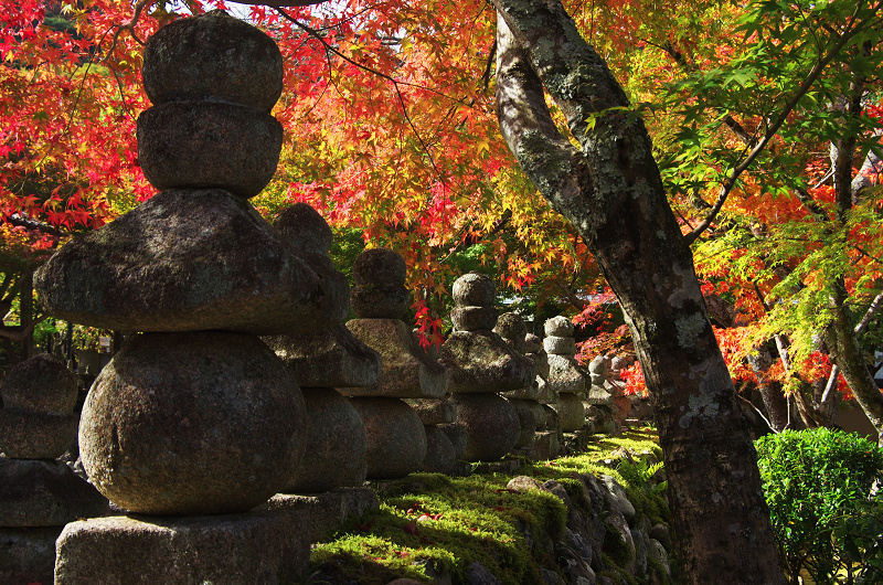 彩りの化野念仏寺_f0155048_22531461.jpg