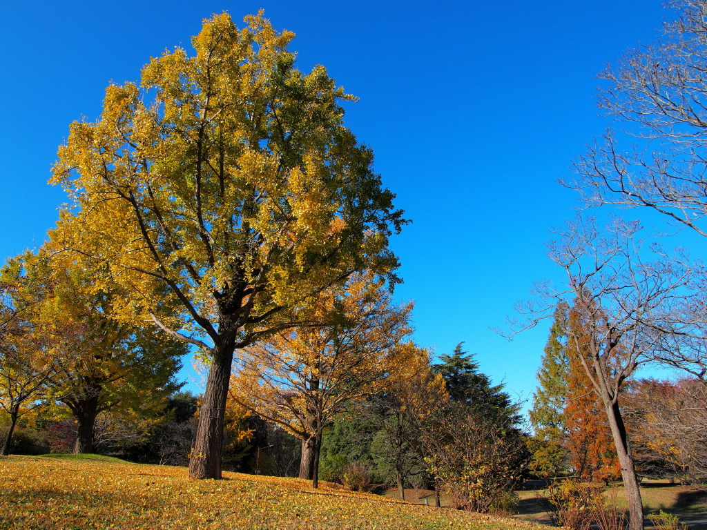 e0290358_2201148.jpg