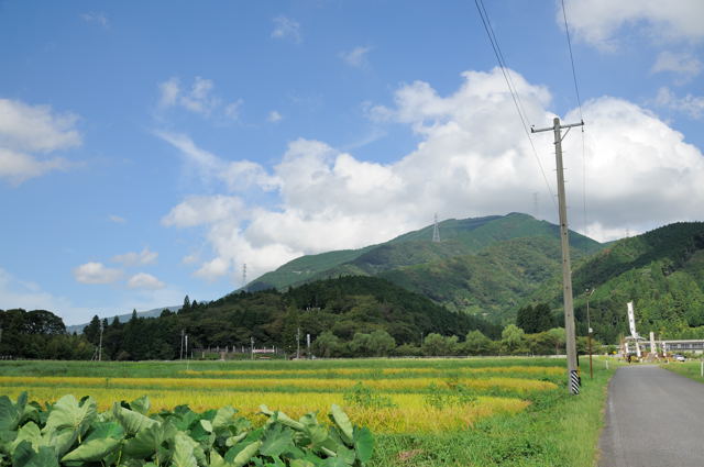 東海道本線の秘境駅跡と天下分け目の古戦場跡をめぐる_c0081462_22385892.jpg