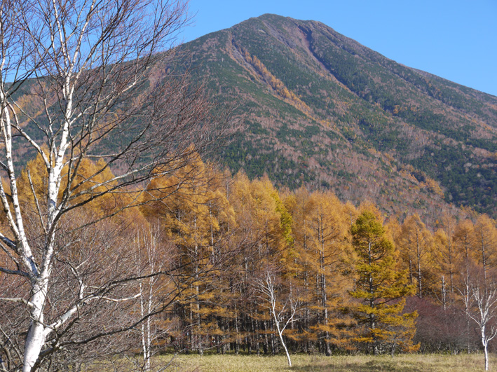 上州湯けむり紅葉紀行（４）戦場ヶ原・二荒山神社：10・29_c0014967_109697.jpg