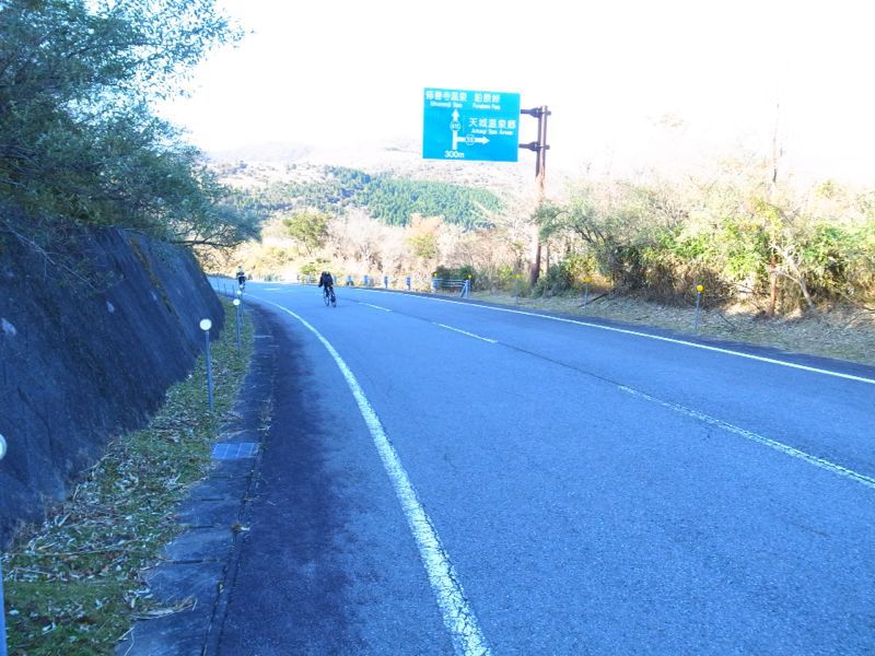 a0232368_744186.jpg