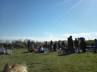f0238772_16321632.jpg