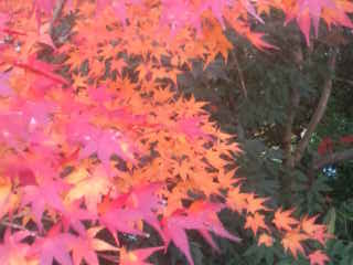f0200477_6432886.jpg
