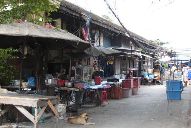 c0253488_2534168.jpg