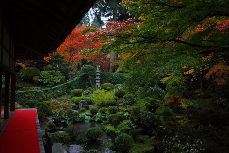 三千院_e0051888_4355515.jpg