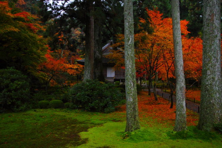 三千院_e0051888_4362620.jpg