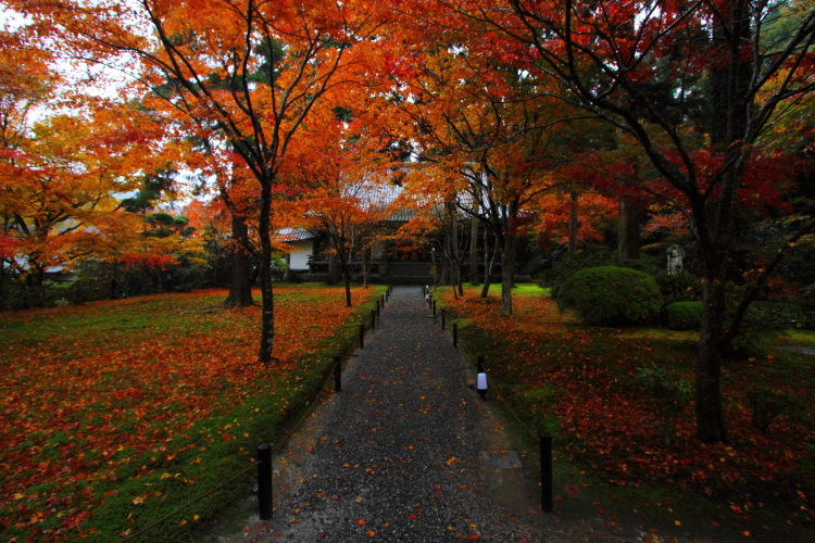 三千院_e0051888_4365520.jpg