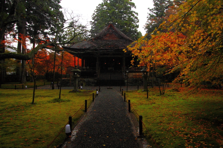 三千院_e0051888_4371372.jpg