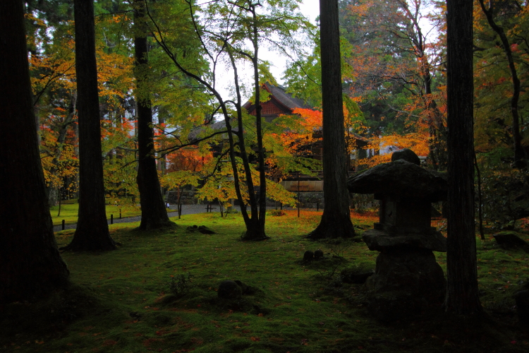 三千院_e0051888_4374568.jpg