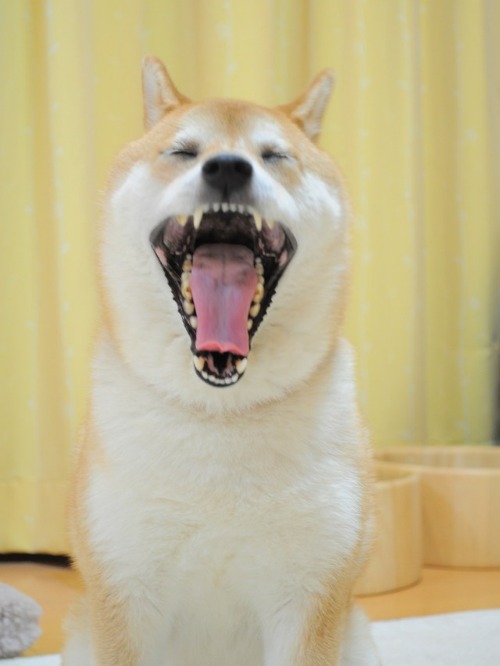 散歩の次は散歩_a0126590_5435114.jpg