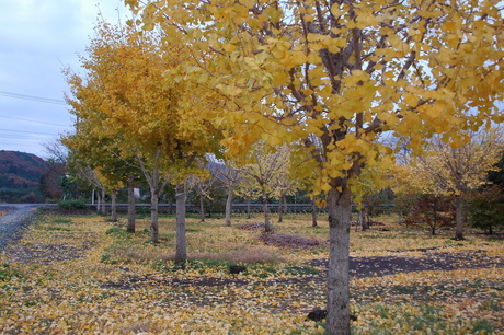 d0234293_21282935.jpg