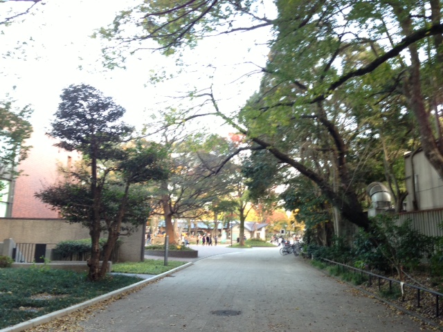 f0138995_19493152.jpg