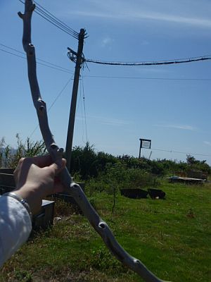 e0198197_177487.jpg