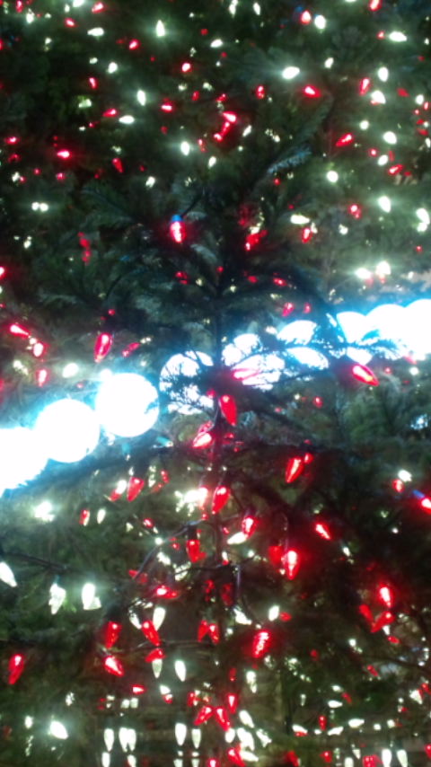 c0177198_20223332.jpg