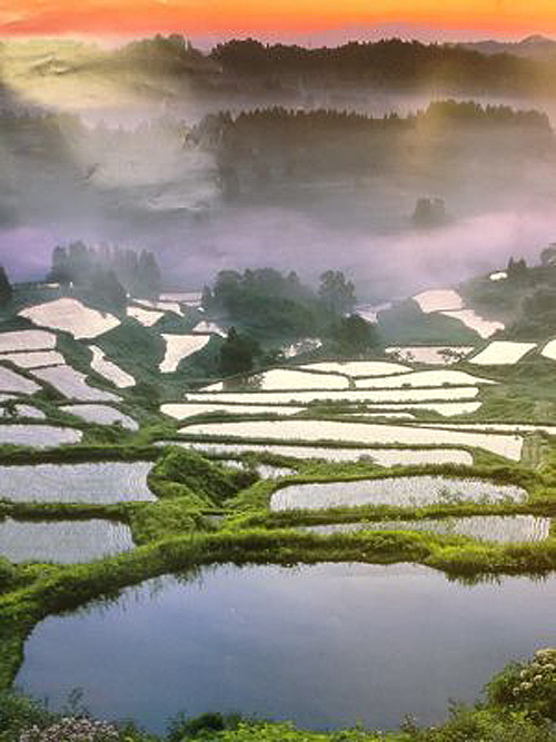 柏崎へ_b0014003_20401587.jpg