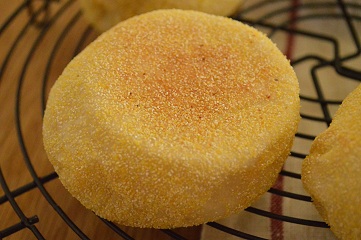 a0154304_114886.jpg