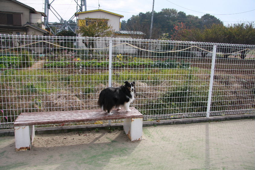 e0130008_22251337.jpg