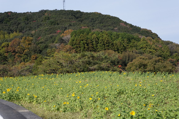 d0237309_2240953.jpg