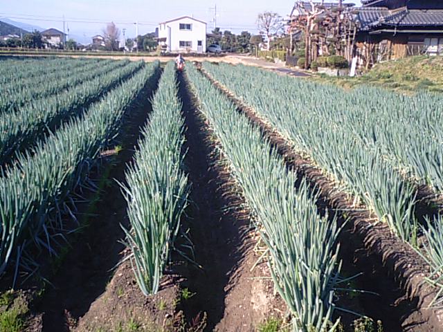 f0231709_16555369.jpg