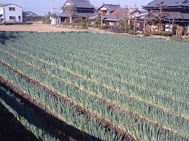 f0231709_16582165.jpg