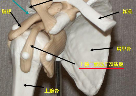 a0062810_199829.jpg