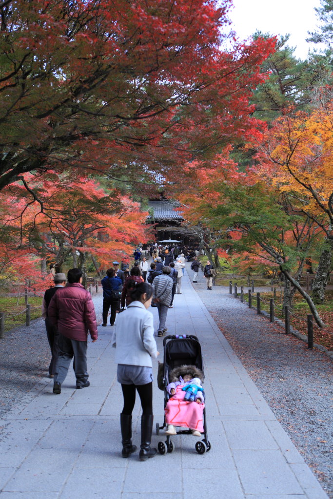 「京めぐり」４　永観堂・南禅寺編_a0123415_2131627.jpg