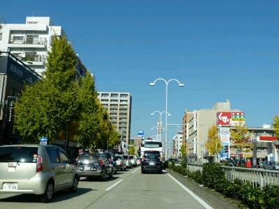 a0275715_165795.jpg