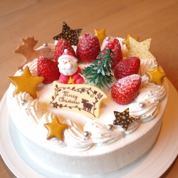 クリスマスケーキ_a0233021_1628189.jpg