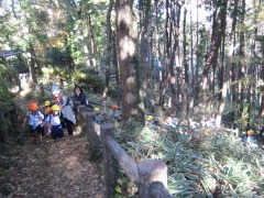 11月20日(年少 園外保育 天覧山) _d0091723_1283337.jpg
