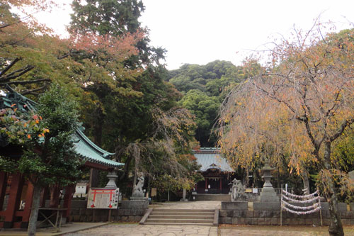 女子会引率～伊豆山神社_c0028424_20495452.jpg