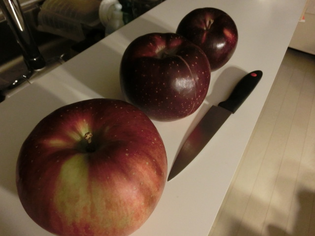 c0006826_21391959.jpg