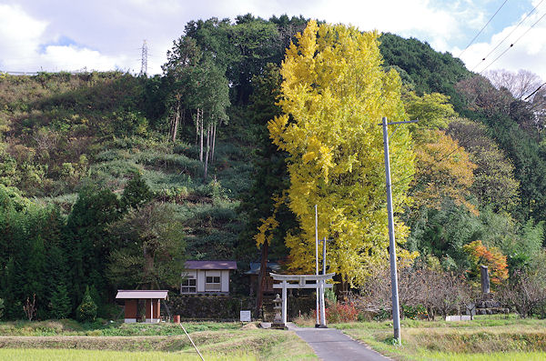 f0007926_10593276.jpg