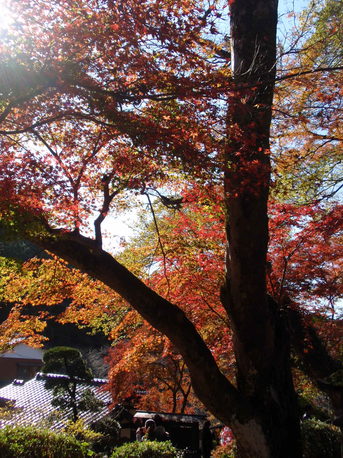 c0248940_1555284.jpg