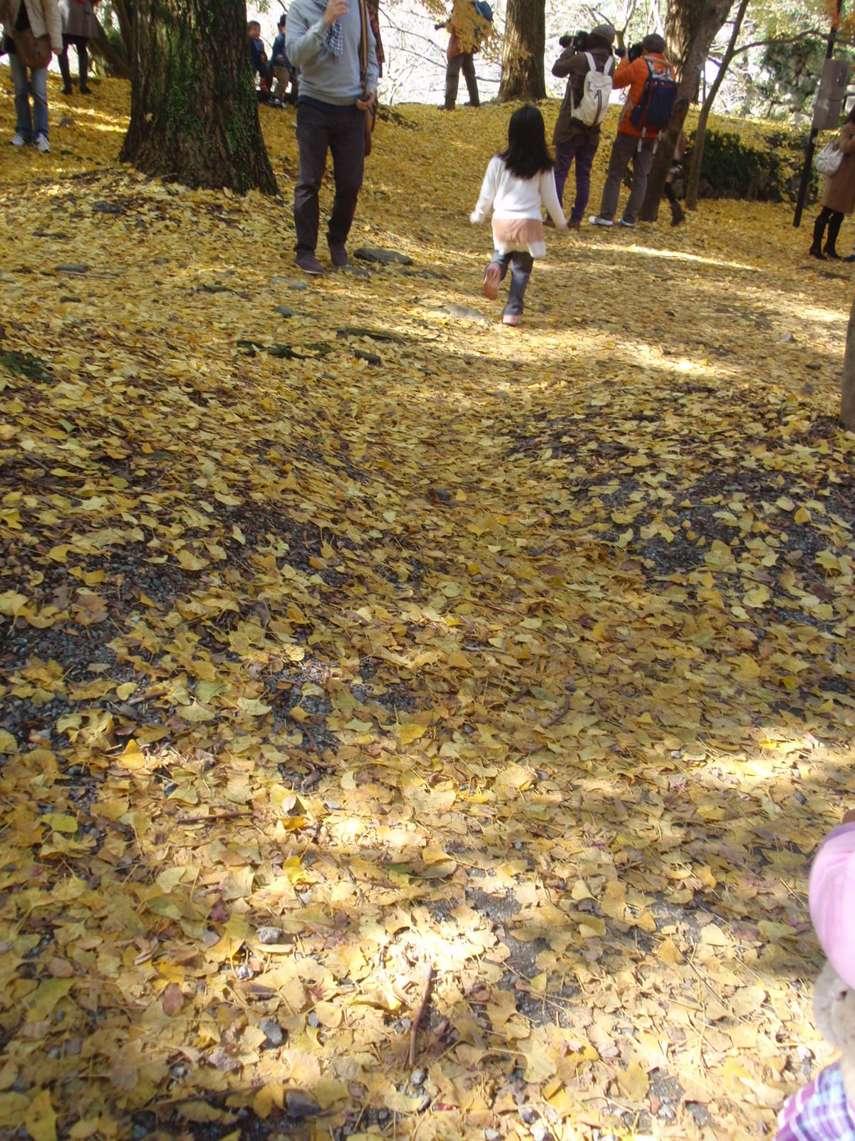 c0248940_1573394.jpg