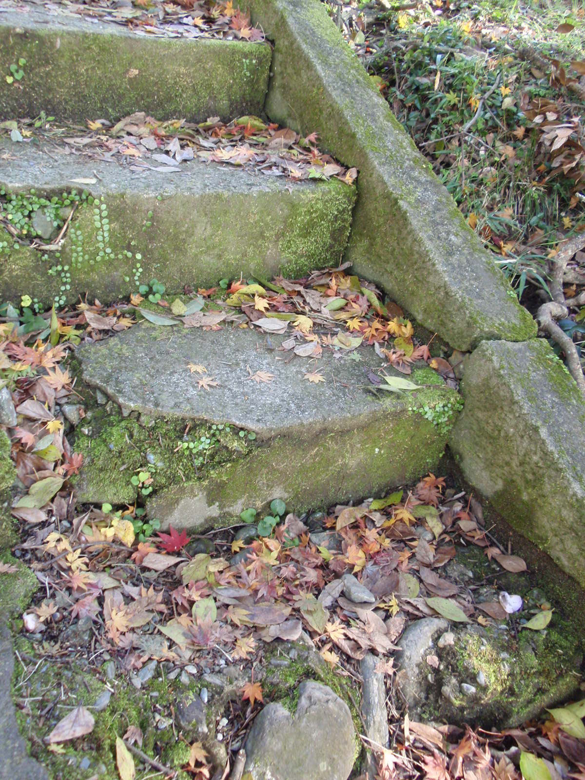 c0248940_1581290.jpg