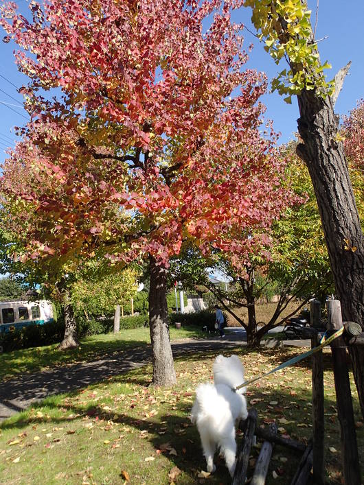 f0128542_0284729.jpg