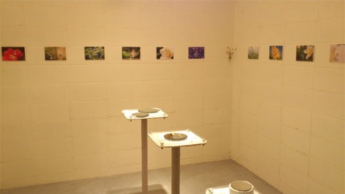 f0229844_23475033.jpg