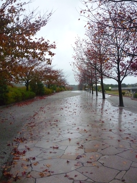 e0118846_1451816.jpg