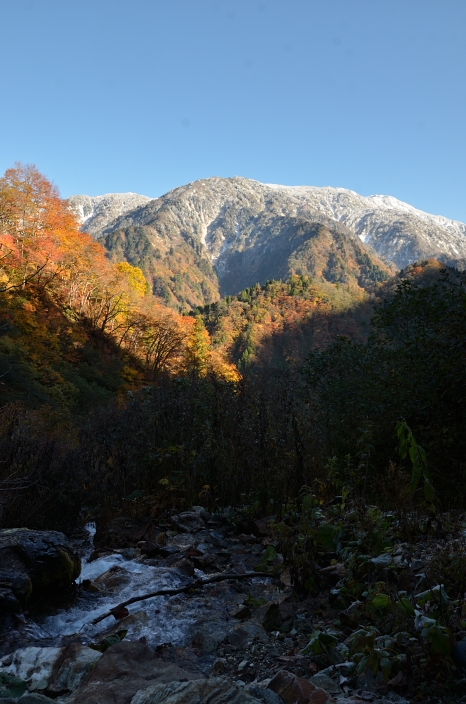 a0263952_20474226.jpg