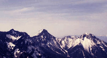 a0044453_10374622.gif