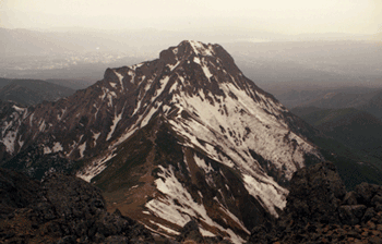a0044453_1045581.gif